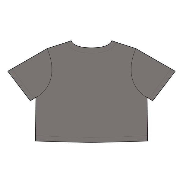 Women's Heavy Faded Crop Tee - Image 4