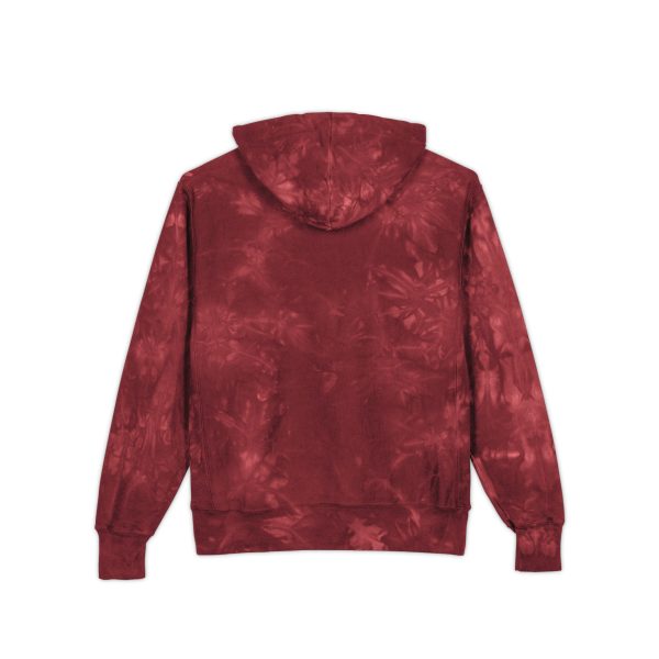 Vibrant Tie-Dye Hoodie, Cozy Unisex Champion Sweatshirt, Embroidered Hooded Sweatshirt, Trendy Fashion Layer, Gift for Friends & Family - Image 10